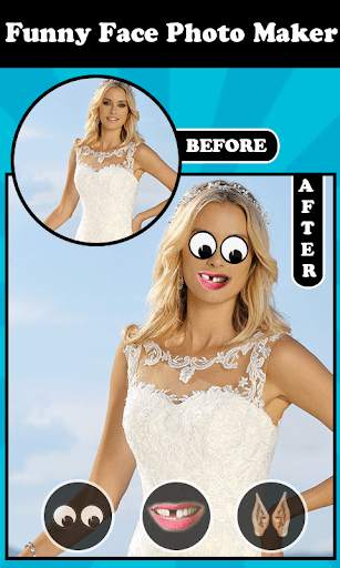 Funy Face Photo Maker screenshot 1