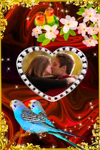 Love Bird Photo Frames screenshot 2