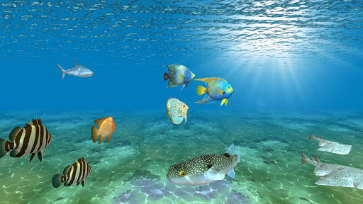 Ocean Fish Under Water Live Wallpaper screenshot 3
