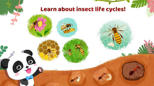 Little Panda's Insect World screenshot 4