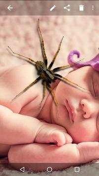 Spider On Screen - Funny Prank screenshot 6