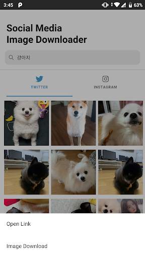 Image Downloader screenshot 2