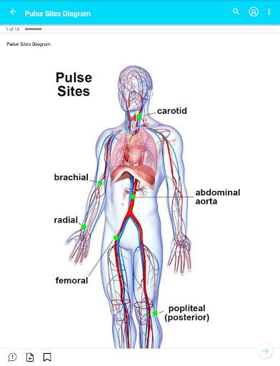 My Nursing Mastery: Student, NCLEX & Nurse's Guide screenshot 8