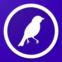Bird Identifier - Find That Bird!