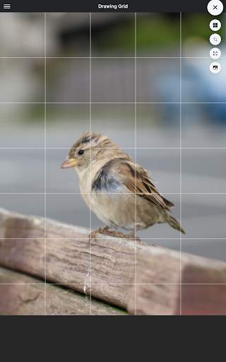 Drawing Grid 12 تصوير الشاشة