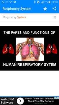 Respiratory System screenshot 2