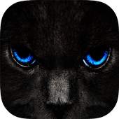 Darker 1.3