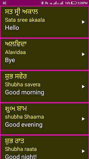 Learn Punjabi From English screenshot 4