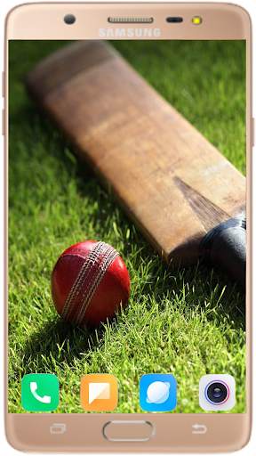 Cricket Bat and Ball Wallpaper Best HD 7 تصوير الشاشة