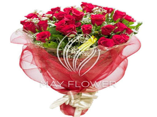 Red rose 2 تصوير الشاشة