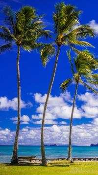 palm Tree wallpaper 4 تصوير الشاشة