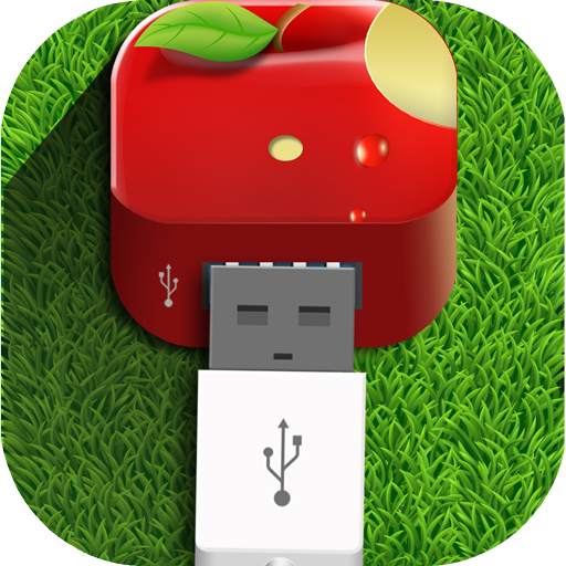 Fast Charger 1.0