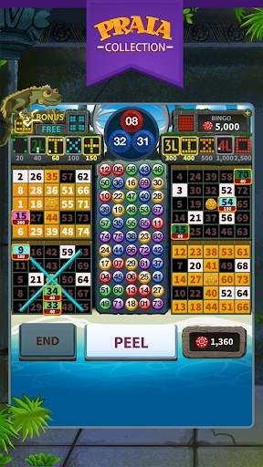 Video Bingo Tulum screenshot 1