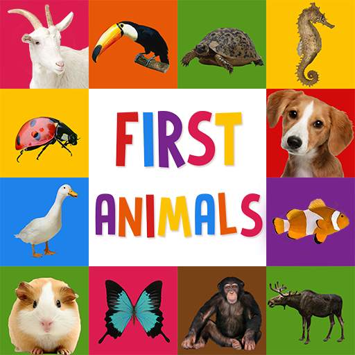 First Words for Baby: Animals 3.1