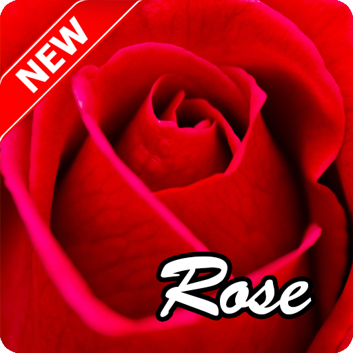 Rose Wallpaper icon