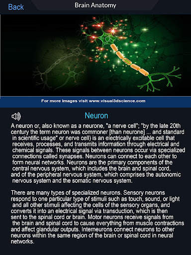 My Brain Anatomy screenshot 10