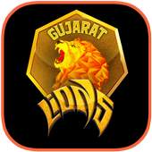 Gujarat Lions 2.5