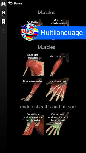 Anatomy Learning - 3D Atlas screenshot 6