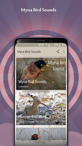 Myna Bird Sounds screenshot 1