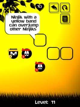 Ninja Logic screenshot 6