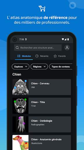 vet-Anatomy screenshot 1