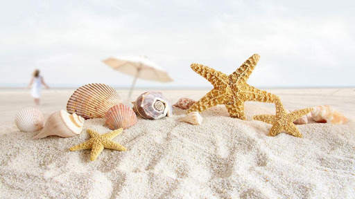 Beaches Backgrounds HD 5 تصوير الشاشة
