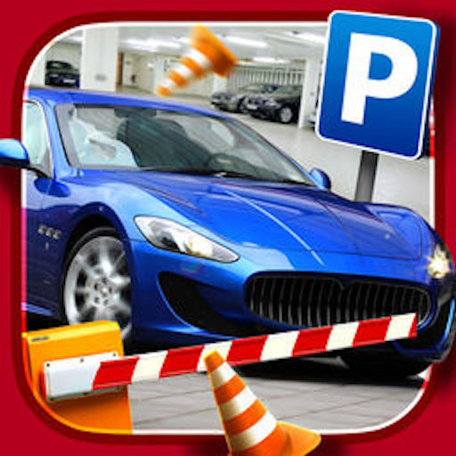 Police Parking icon