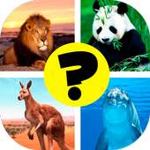Animals: quiz. Mammals, Birds and Fish 1.0
