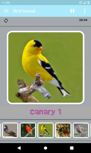 Bird Sound screenshot 2
