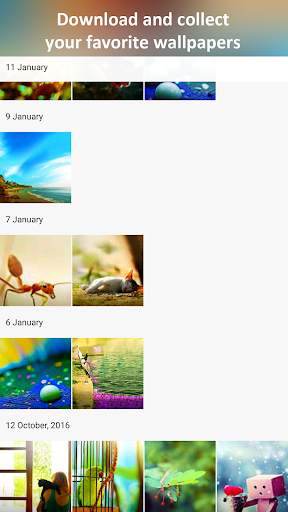 Art-Paper : beautiful wallpapers & backgrounds HD screenshot 5