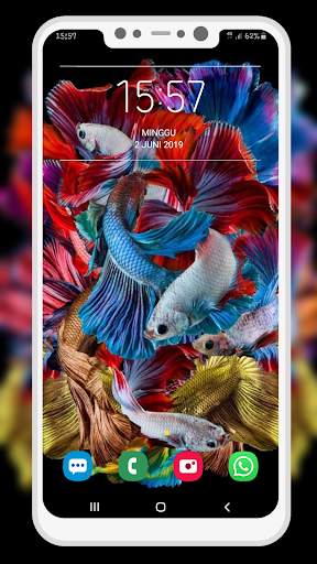 Betta Fish Wallpaper screenshot 5
