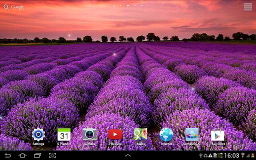 Flower Live Wallpaper screenshot 12