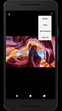 Video Downloader for Instagram screenshot 2