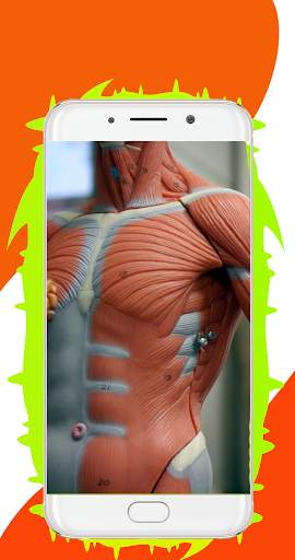 Human Body System – All Body System Offline screenshot 3