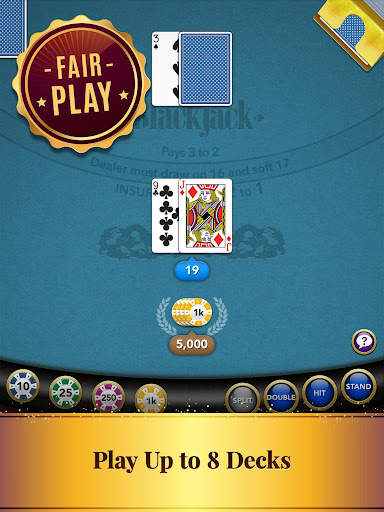 Blackjack Card Game screenshot 16