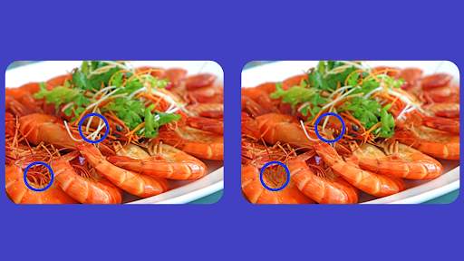 Spot The Differences Game screenshot 8