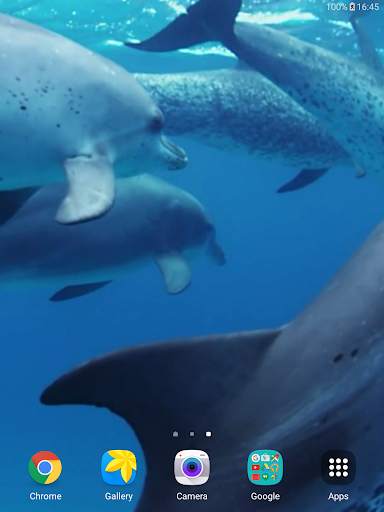 Dolphins Live Wallpaper screenshot 9