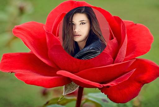 Rose Flower Photo Frames 2016 screenshot 11