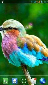 Moving Bird Live Wallpaper screenshot 6