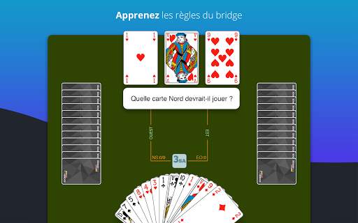 Fun Bridge screenshot 10