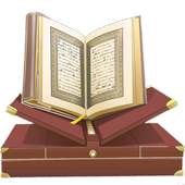 Quran for Android icon