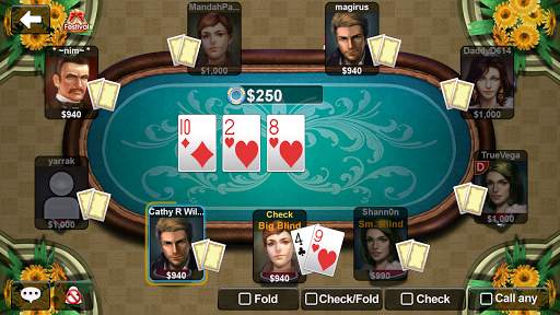 DH Texas Poker - Texas Hold'em screenshot 20