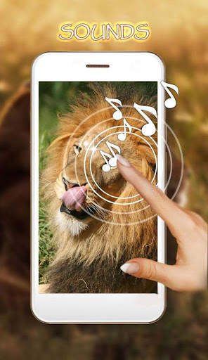 Lion Live Wallpaper screenshot 1