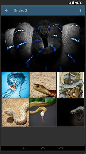 Snake Wallpaper screenshot 2
