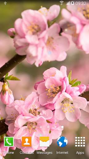 Blooming Trees Live Wallpaper screenshot 5