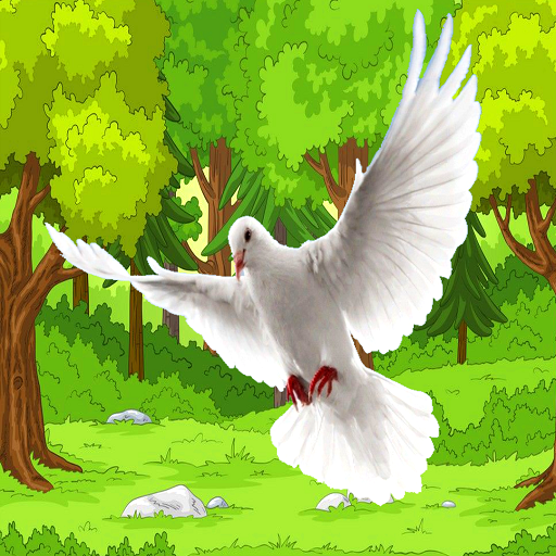 wild pigeon bird simulator icon