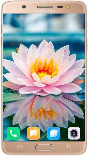 Lotus Wallpaper Best HD screenshot 5