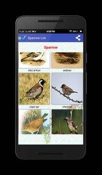 Sparrow Birds स्क्रीनशॉट 1