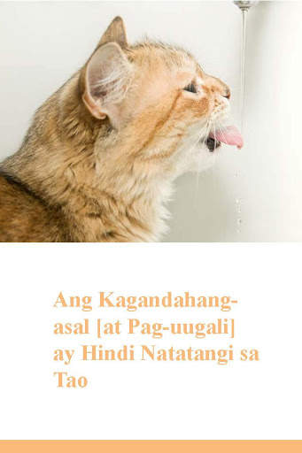 Ang Kagandahang-Asal sa Islam screenshot 11