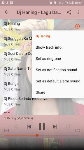 Dj Haning - Lagu Dayak Offline screenshot 4
